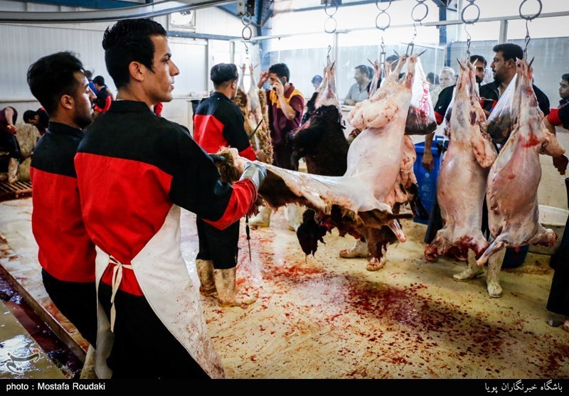 هیچ غرفه‌ای برای توزیع گوشت گوسفندی در تهران دایر نخواهد شد