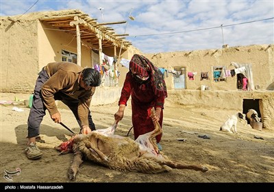 عید قربان در جرگلان خراسان شمالی