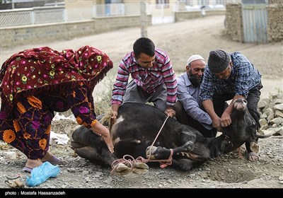 عید قربان در جرگلان خراسان شمالی