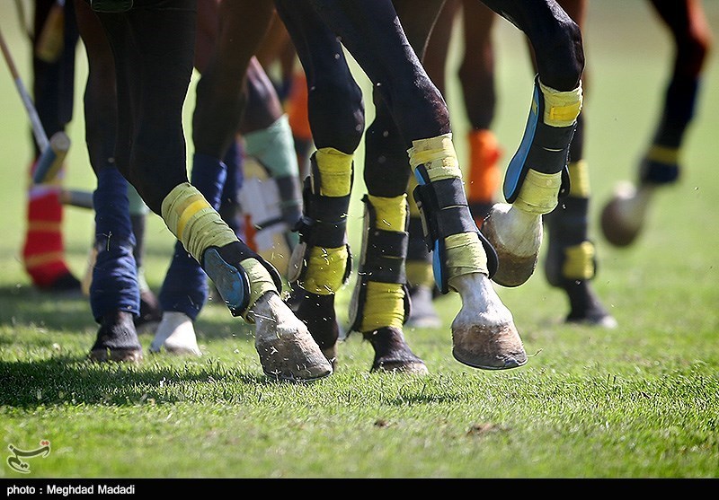برتری تیم چوگان ایران مقابل آرژانتین در دیداری دوستانه