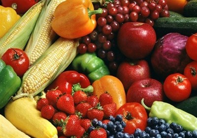 استان فارس آماده سرمایهگذاری مشترک با قطر در حوزه کشاورزی است