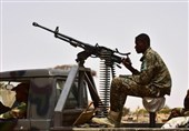 Niger, Chad Armies Kill 38 Boko Haram Militants: Niger Army