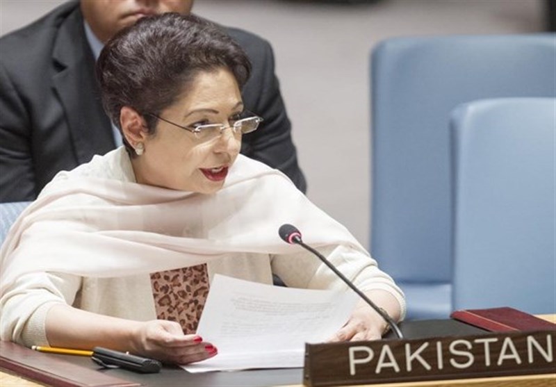 دہشتگردی نے سب سے زیادہ نقصان پاکستان کو پہنچایا، ملیحہ لودھی