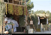 هفتمین جشنواره شکرگذاری برداشت انگور هزاوه برگزار می‌شود