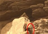 کشف موجود زنده شبیه مار روی کره مریخ