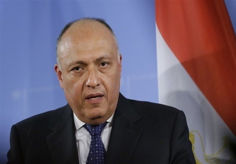اذعان قاهره به اختلاف دیدگاه با عربستان درباره سوریه