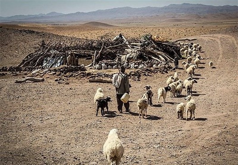 خشکسالی در مناطق عشایری کهگیلویه و بویراحمد نگران کننده است