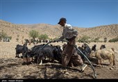 70 میلیارد تسهیلات خشکسالی به عشایر استان اردبیل ارائه می‌شود