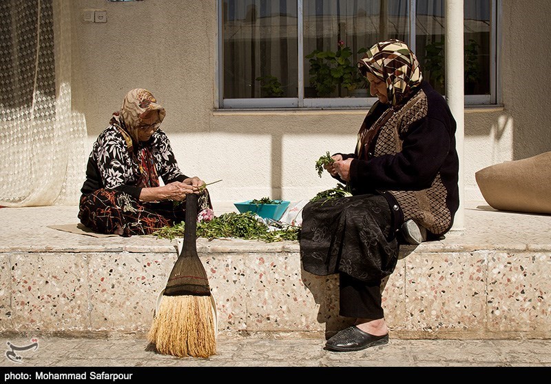 یزد | بیش از 44 هزار نفر از والدین شهدا از حق پرستاری برخودار هستند
