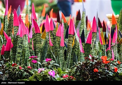 Tehran Hosts 8th Seasonal Flower Exhibition - Photo news - Tasnim News ...