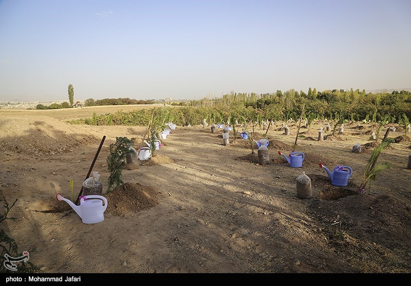 طرح &quot;مسیر سبز، ساحل پارک&quot; در استان گلستان اجرا می‌شود