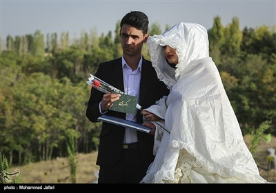 کاشت نهال زوج های زنجانی
