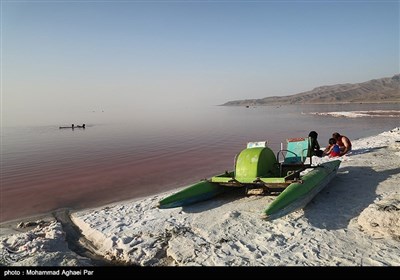 میهمانان دریاچه ارومیه