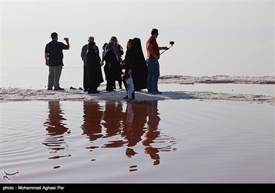 میهمانان دریاچه ارومیه