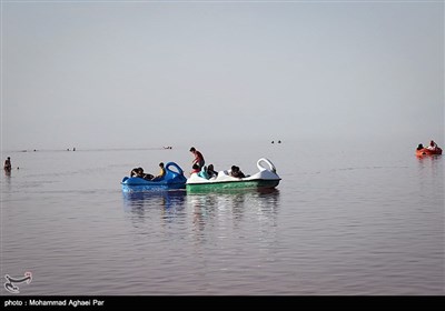 میهمانان دریاچه ارومیه