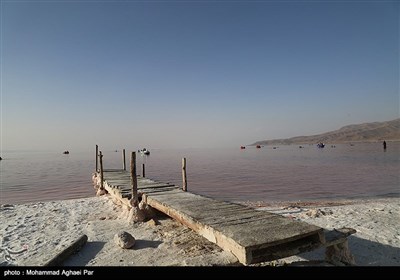 میهمانان دریاچه ارومیه