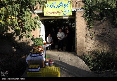 شیره پزی سنتی در روستای مانیزان ملایر