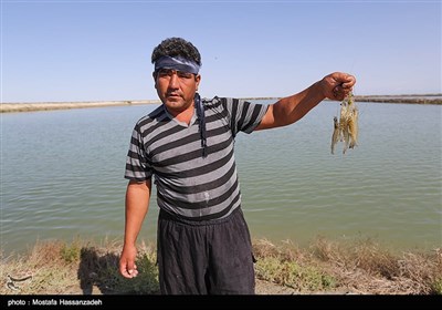 سفر وزیر تعاون،کار و رفاه اجتماعی به گرگان