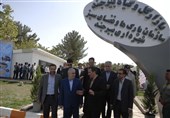 بازارچه گل و گیاه