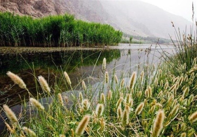 35 چاه غیرمجاز در منطقه تالاب هشیلان کرمانشاه شناسایی شد