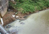 تأکید استاندار گیلان بر پیگیری ساخت و ساز غیرمجاز در حریم رودخانه‌ها؛ آلودگی «زرجوب» و «گوهررود» معضلی منطقه‌ای است