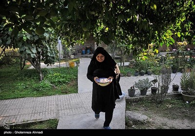 آیین مجمع پلا در دهه اول محرم - مازندران