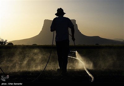 Traditional Non-Mechanized Agriculture in Iran’s Fars Province