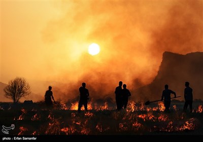 Traditional Non-Mechanized Agriculture in Iran’s Fars Province