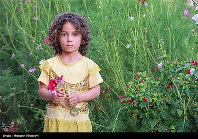 Village Life in Southwest Iran
