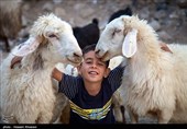 Village Life in Southwest Iran