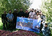 حرکت خودجوش بسیجیان مراغه در حمایت از جبهه مقاومت