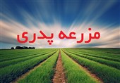 «مزرعه پدری» در تسنیم احیا می‌شود