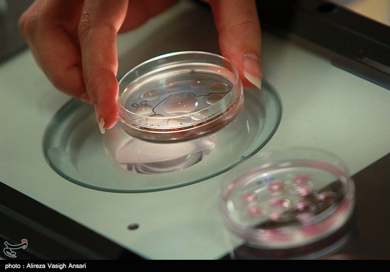 بخش سلول درمانی پژوهشگاه رویان اصفهان راه‌اندازی شد / د‌رمان ‌آرتروز زانو، لک و پیس و نارسایی‌های قلبی‌
