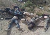 تلفات سنگین «داعش» در غرب «تدمر»/ فروپاشی صفوف تکفیری‌ها در «وادی‌بردی»