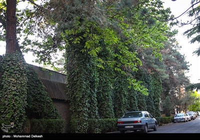 خانه های سبز تهران