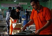 فضاهای مازاد آموزش مهارتی استان بوشهر به بخش خصوصی واگذار می‌شود