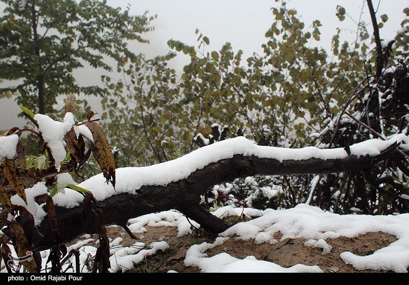بارش برف پاییزی ارتفاعات جواهر‌دشت را سفیدپوش کرد