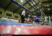 ورزش بوکس در استان بوشهر باید مورد حمایت قرار گیرد