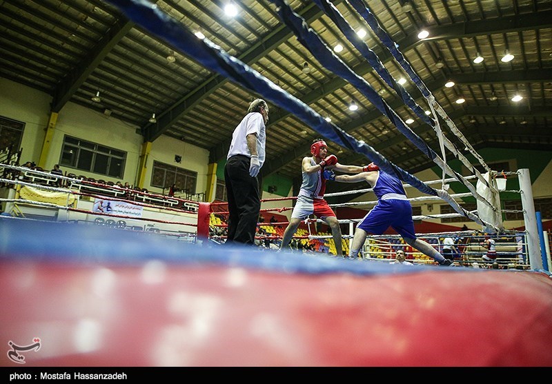 ورزش بوکس در استان بوشهر باید مورد حمایت قرار گیرد