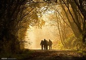 تصویر برتر 4