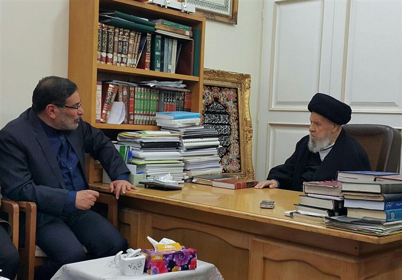 دبیر شورای عالی امنیت ملی با آیت الله موسوی اردبیلی دیدار کرد‌