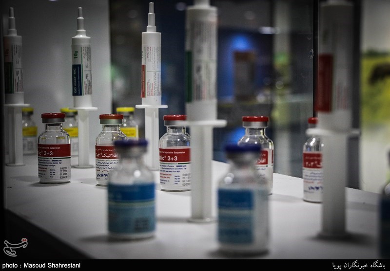 طرح واکسیناسیون 1.4 میلیون قطعه طیور در فارس آغاز شد