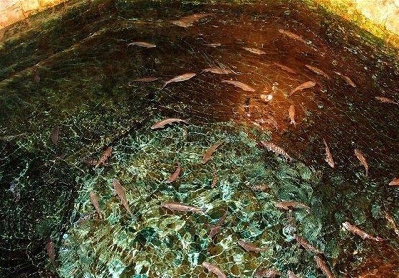 حوض ماهی سعدی با خاک یکسان شد+ عکس
