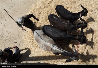 زندگی در روستای سرآقاسید