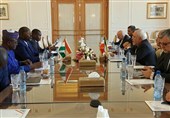 دیدار وزیر خارجه نیجر با ظریف