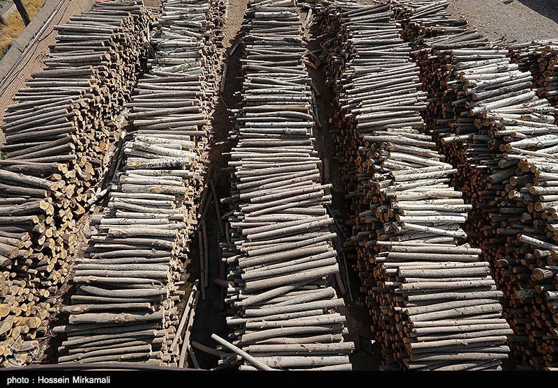جرائم قاچاق چوب‌آلات و زغال جنگلی در اردبیل 5 برابر افزایش یافت