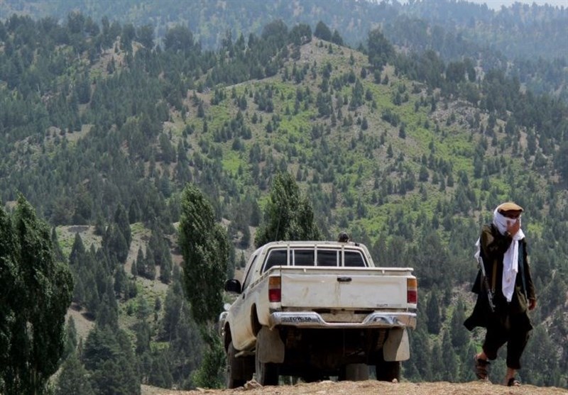 قطع درختان در کنار چشم‌پوشی مقامات محلی؛ تجارت جدید افراد وابسته به داعش در شرق افغانستان