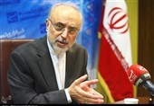 Iran Does Not Take Trump’s Stance on JCPOA Seriously: AEOI’s Salehi