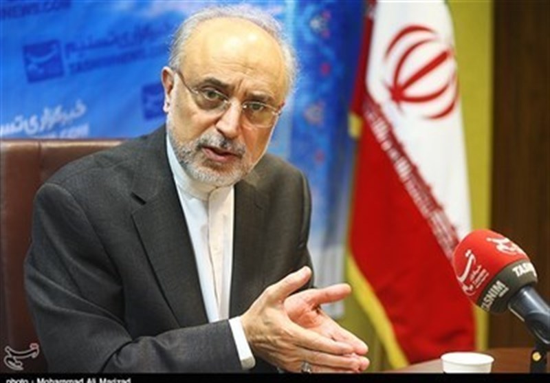 Iran to Spend $10bln to Build Two Nuclear Plants in Bushehr: AEOI Chief