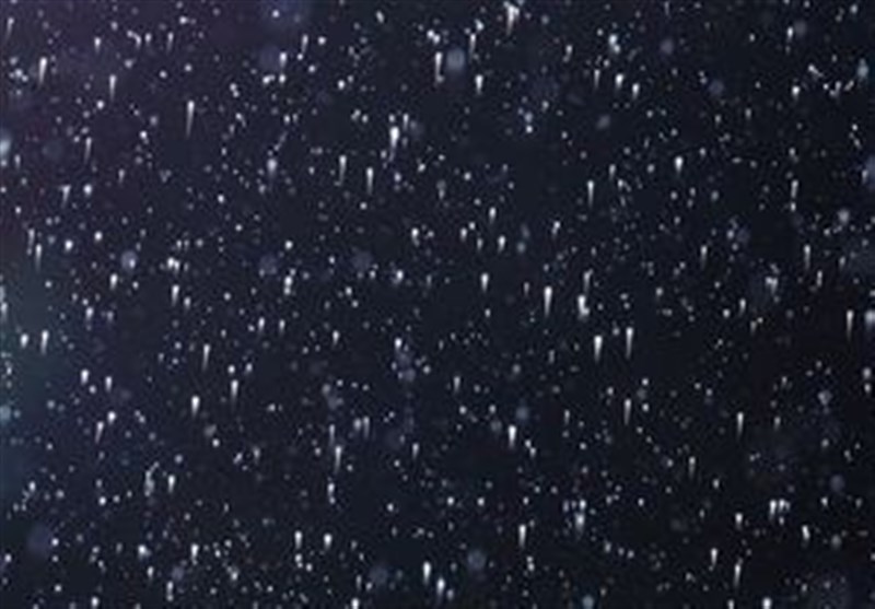 عکس/روباهی زیر قطرات باران